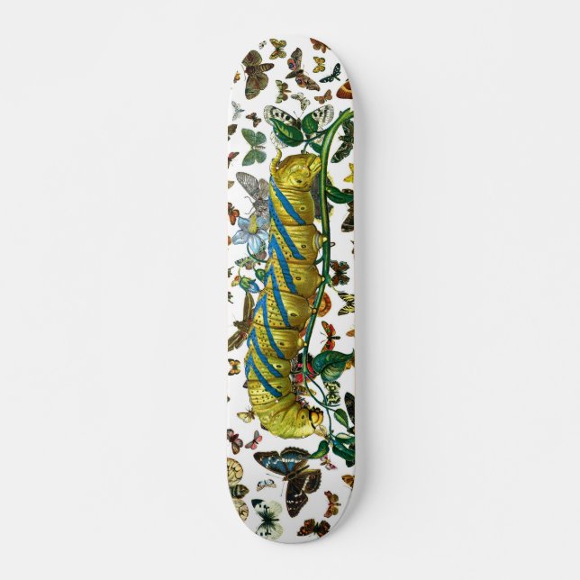 Acherontia-Atropos-Raupe Skateboard (Vorne)