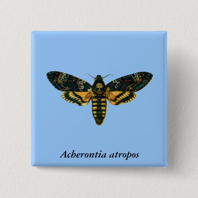 Acherontia-Atropos (Todeskopfhawkmoth) Button (Vorderseite)
