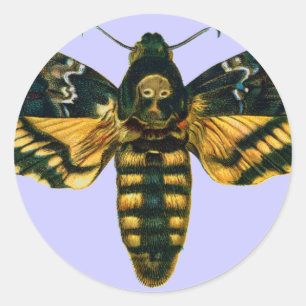Acherontia-Atropos (Todeskopfhawkmoth) Runder Aufkleber