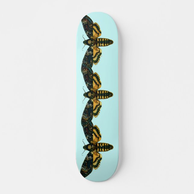 Acherontia-Atropos (Todeskopfhawkmoth) Skateboard (Vorne)