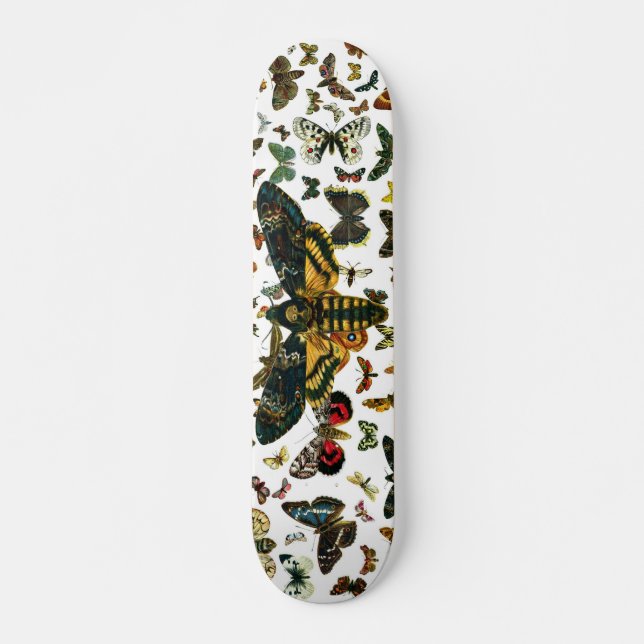 Acherontia-Atropos (Todeskopfhawkmoth) Skateboard (Vorne)