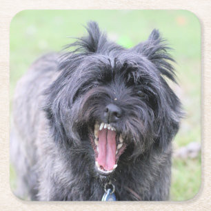 Achoo Rechteckiger Pappuntersetzer