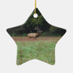 Acht 8-Punkte-Bull-Elch im Herbst Keramik Ornament
