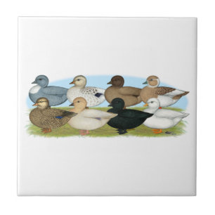Acht Call Ducks Fliese