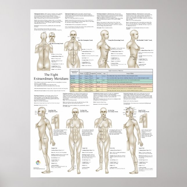 Acht Extra-Akupunktur Außergewöhnliche Meridiane Poster (Vorne)