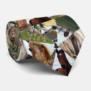 Acht Pferddreiecke, Necktie Krawatte