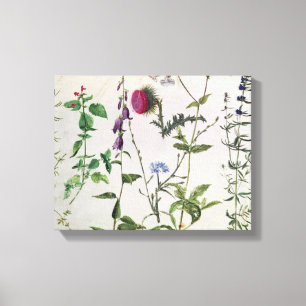 Acht Studien der wilden Blumen Leinwanddruck
