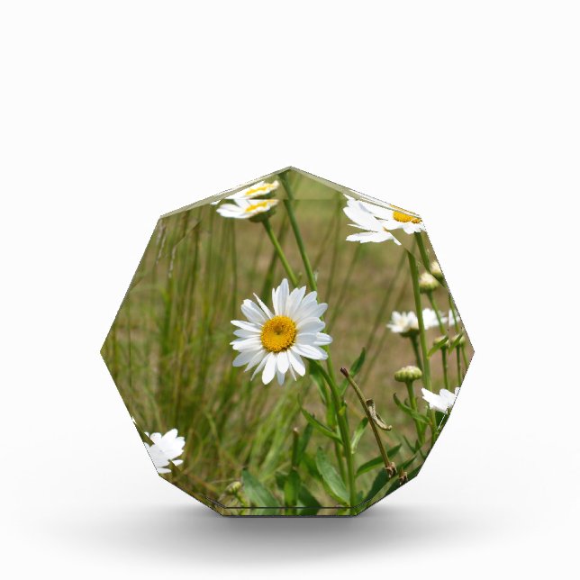 Achteckig  fotoblock (Vorderseite)