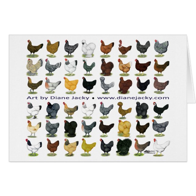 Achtundvierzig HennePromo (Vorderseite (Horizontal))