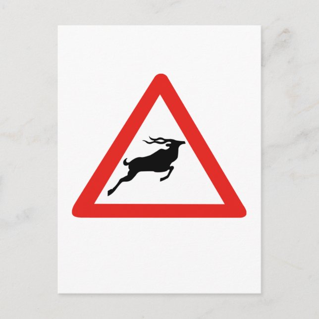 Achtung Kudus, Verkehrszeichen, Südafrika Postkarte (Vorderseite)