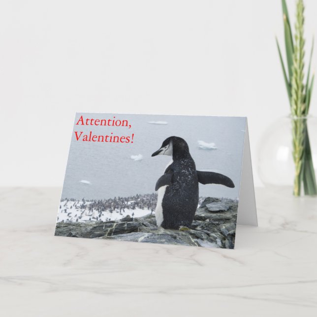 Achtung Valentines! Feiertagskarte (Vorderseite)