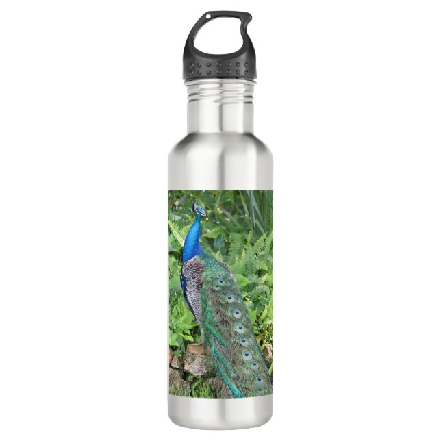 Acier inoxydable de Floride 24 oz Bouteille d'eau  (Devant)