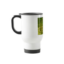 Acier inoxydable Voyage / Mug de navette, 15 oz