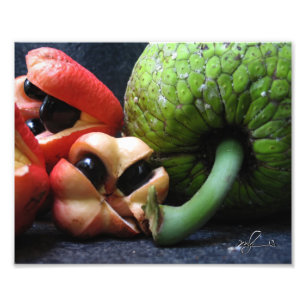 Ackee und Brotfrüchte Fotodruck