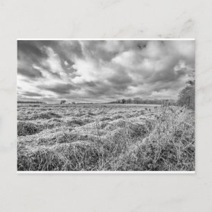 Ackerland im ländlichen Norfol Postkarte