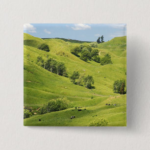 Ackerland in der Nähe von Gisborne, Neuseeland Button