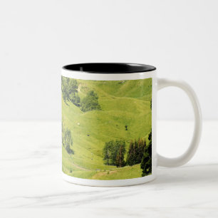 Ackerland in der Nähe von Gisborne, Neuseeland Zweifarbige Tasse