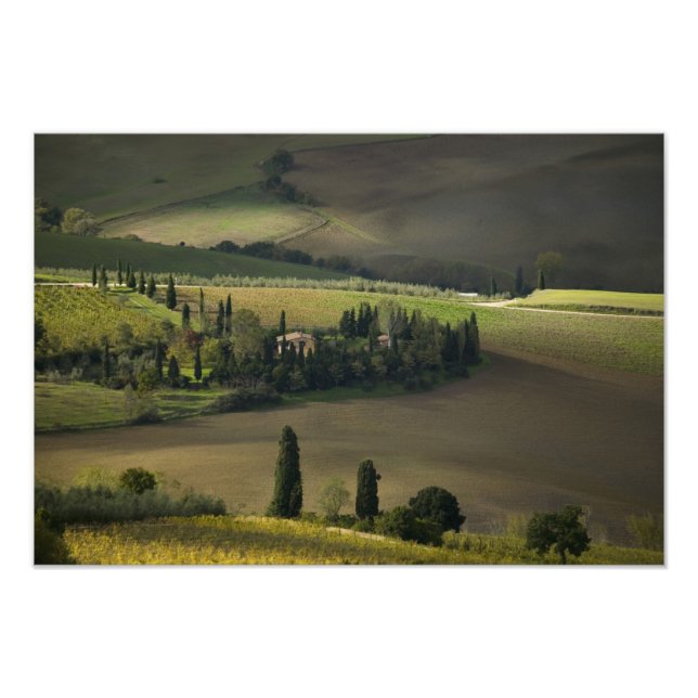 Ackerland um Montepulciano, Toskana, Italien Fotodruck (Vorne)
