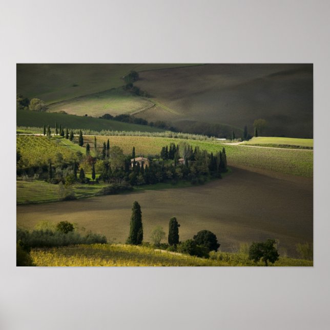 Ackerland um Montepulciano, Toskana, Italien Poster (Vorne)