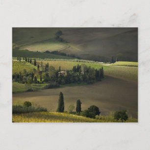 Ackerland um Montepulciano, Toskana, Italien Postkarte