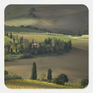Ackerland um Montepulciano, Toskana, Italien Quadratischer Aufkleber