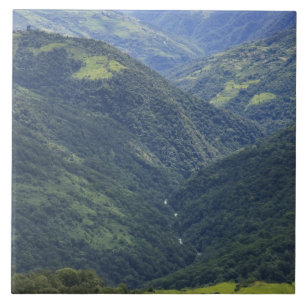 Ackerland und Himalaya-Wald im Mangdue-Tal Fliese