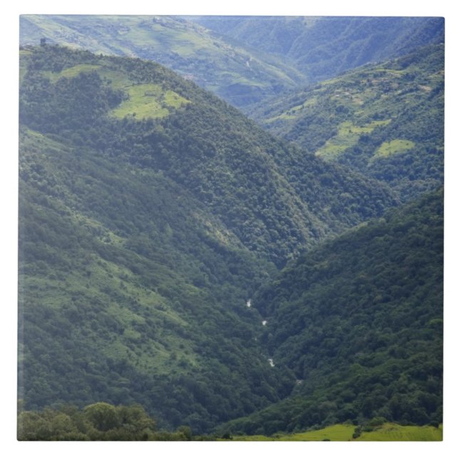 Ackerland und Himalaya-Wald im Mangdue-Tal Fliese (Vorderseite)