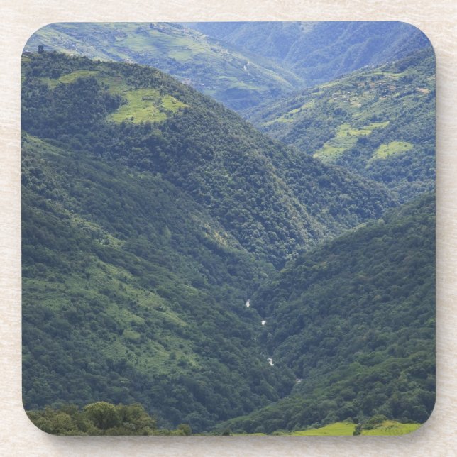 Ackerland und Himalaya-Wald im Mangdue-Tal Untersetzer (Vorderseite)