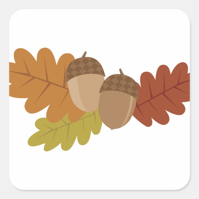Acorn-Blätter Quadratischer Aufkleber (Vorderseite)