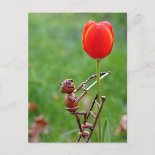 Acorn elf als Tulpengärtner Postkarte