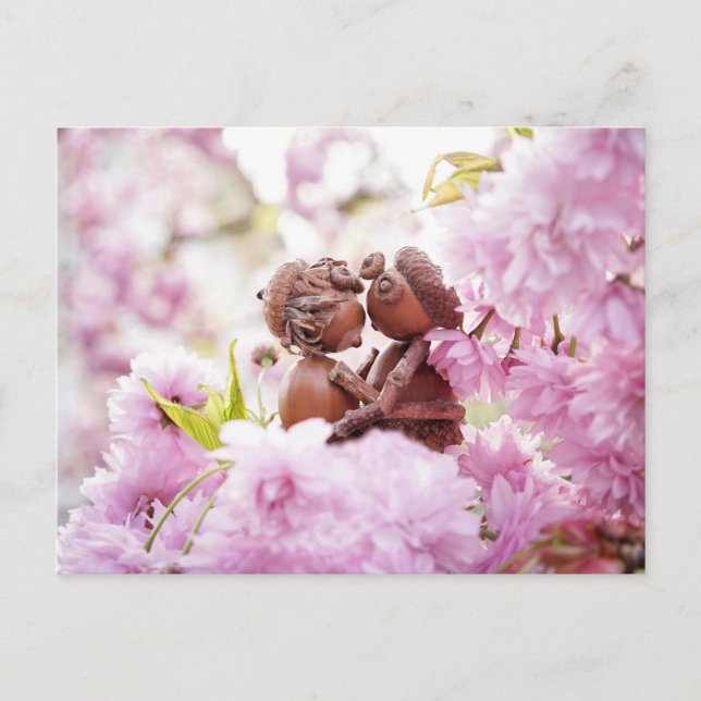 Acorn-Elf auf der Blütenbaum-Postkarte Postkarte (Vorderseite)