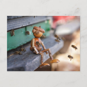 Acorn elf Bienenhalter Federkarte Postkarte