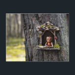 Acorn elf Blick aus dem Fenster Postkarte<br><div class="desc">Acorn elf Blick aus dem Fenster - lustige Postüberquerung Postkarte</div>