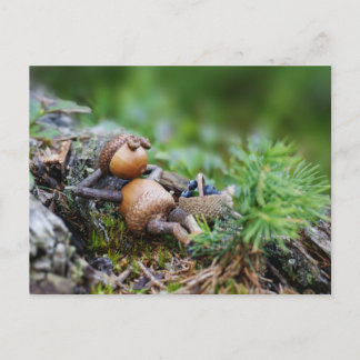 Acorn-Elf, der im Wald ruht Postkarte