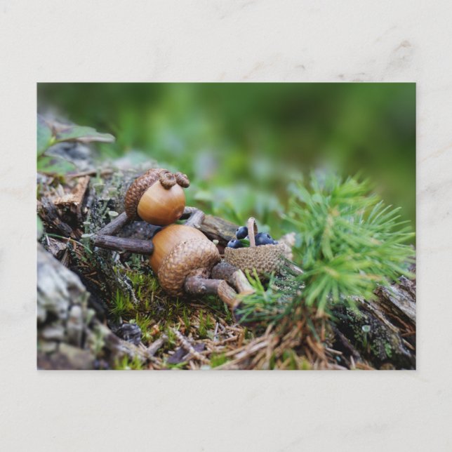 Acorn-Elf, der im Wald ruht Postkarte (Vorderseite)