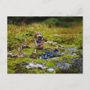 Acorn elf essen Heidelbeeren auf dem Moos Postkarte
