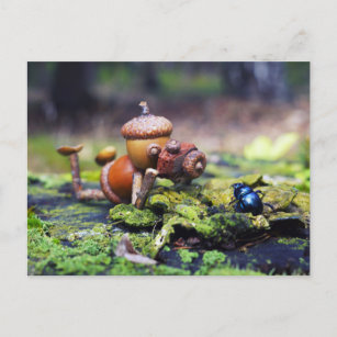 Acorn Elf Fotograf mit Bug Postkarte
