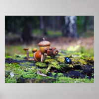 Acorn-Elf-Fotograf mit Fehlerposter