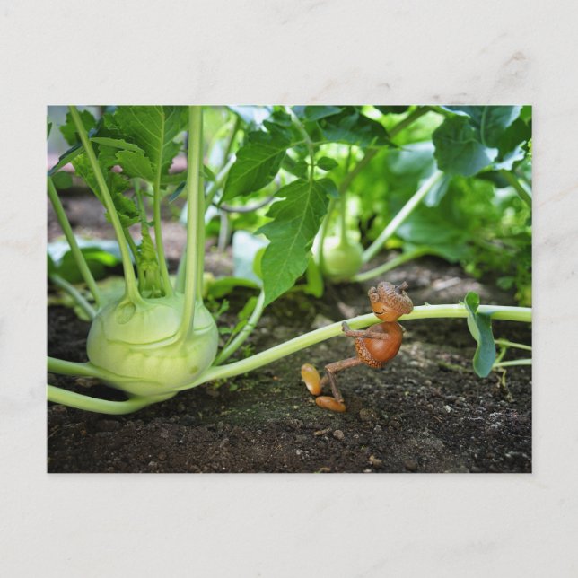 Acorn Elf Frühlingsgärtner Postkarte (Vorderseite)