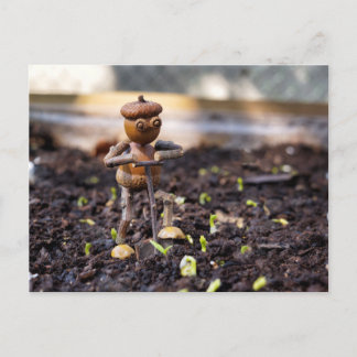 Acorn Elf Frühlingsgärtner Postkarte