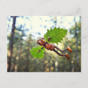 Acorn elf Ikaros Flyer - Postübergabe Postkarte