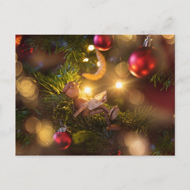 Acorn elf lesen Buch über Weihnachtsbaum Postkarte (Vorderseite)