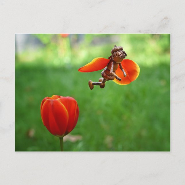 Acorn elf Mädchen als Tulpenmärchen Frühlingskarte Postkarte (Vorderseite)