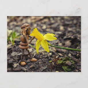 Acorn elf Mädchen mit gelber Nadel-Blume-Feder Postkarte
