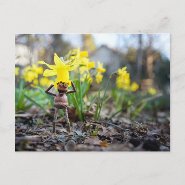 Acorn elf mit dicken Blume Frühling Postkarte (Vorderseite)
