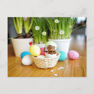 Acorn Elf mit Ostereiern Ostern Postkarte