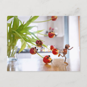 Acorn Elf mit Tulpendrachenpostkarte Postkarte