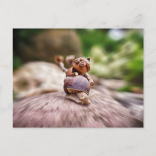 Acorn elf Reiten auf der Schnecke Postkarte