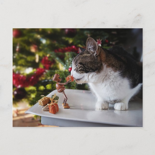 Acorn Elf schenkt Katze Weihnachtsgeschenk Postkarte (Vorderseite)