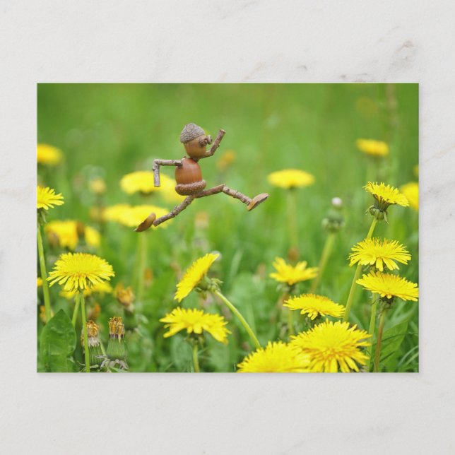 Acorn Elf springt auf der Wiese auf Lüstern Postkarte (Vorderseite)